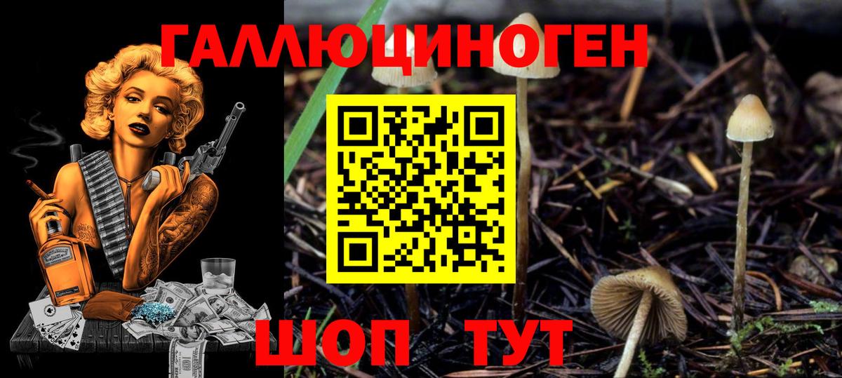 Псилоцибиновые грибы мухоморы  сколько стоит  Батайск  Вход с VPN  Псилоцибиновые грибы ЛСД 