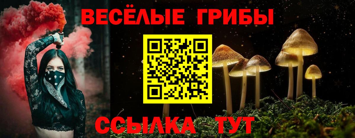 Галлюциногенные грибы Cubensis Батайск